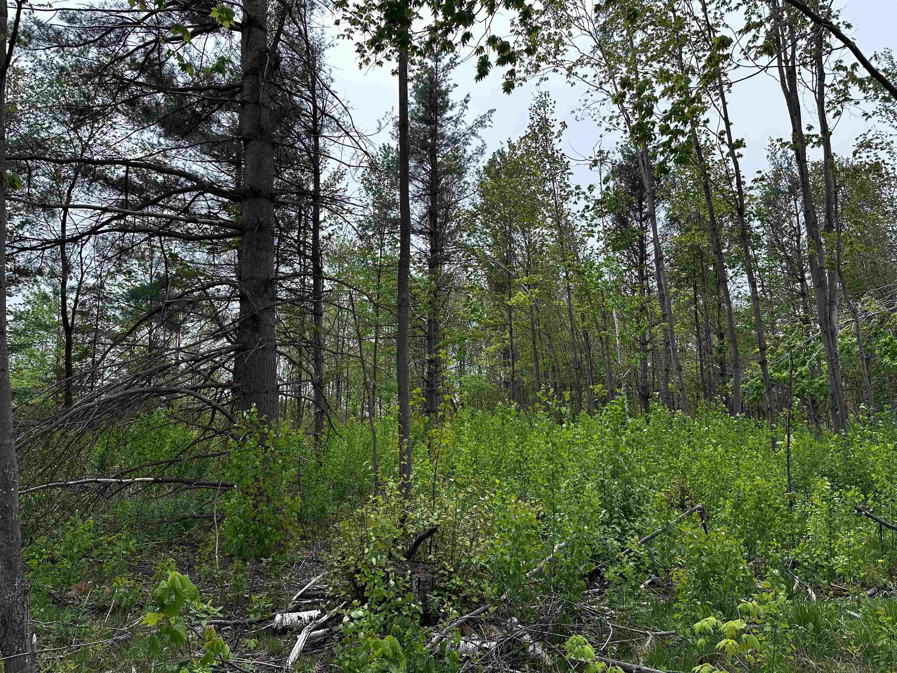 1 Granite Road Wausau, WI 54403 - Photo 10 of 15