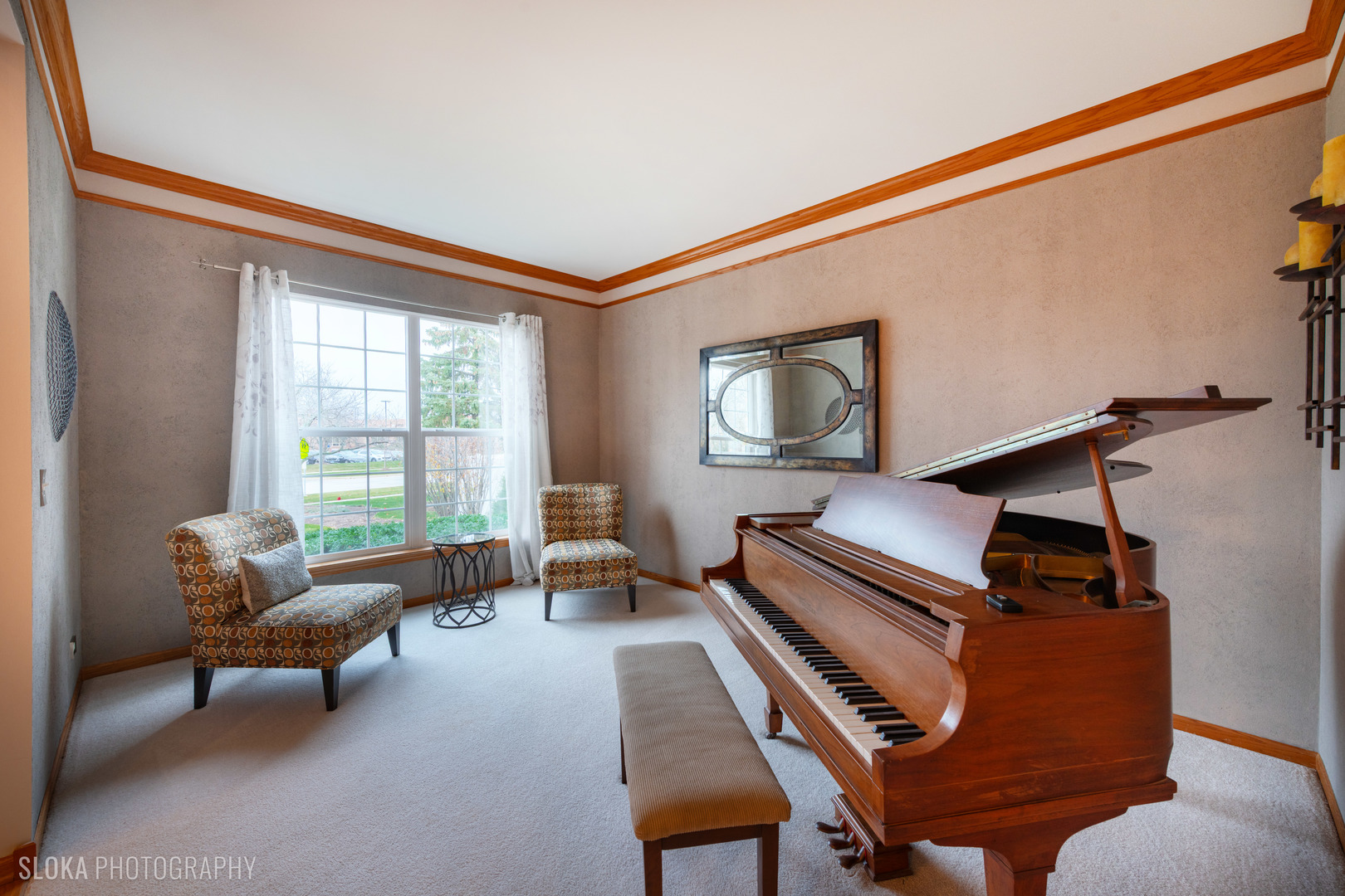 1123 Village Road Crystal Lake, IL 60014 - Photo 12 of 46 a living room with furniture