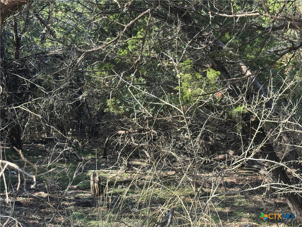5982 Buggy Ride Road Temple, TX 76502 - Photo 3 of 6