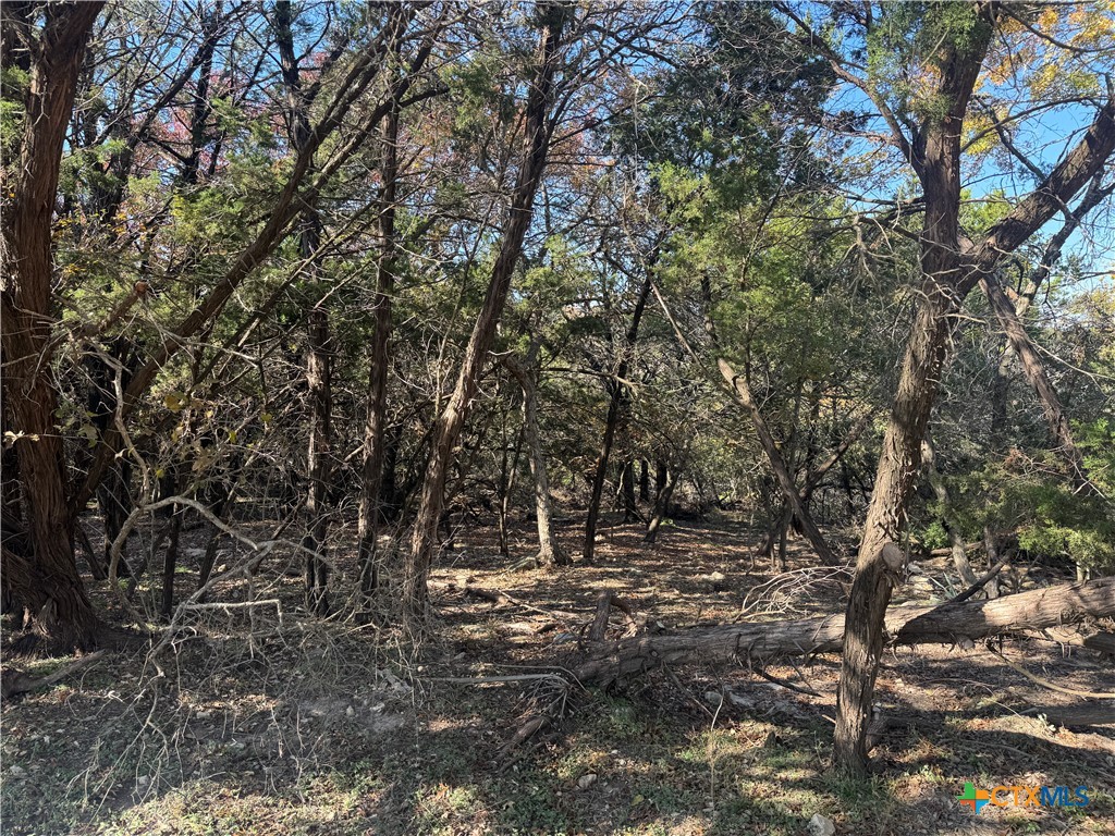 5982 Buggy Ride Road Temple, TX 76502 - Photo 5 of 6 a view of outdoor space with trees