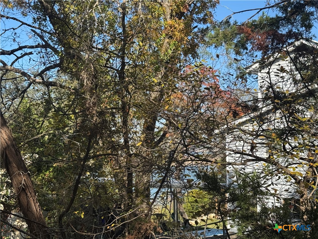 5982 Buggy Ride Road Temple, TX 76502 - Photo 6 of 6 a view of tree