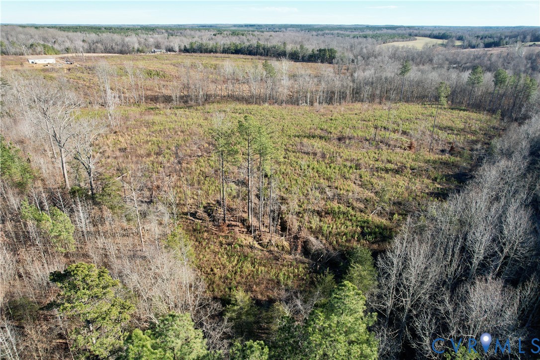 5209 Indian Oak Road Crewe, VA 23930 - Photo 11 of 14