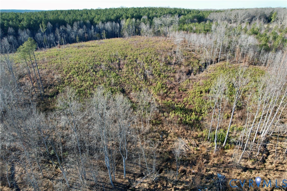 5209 Indian Oak Road Crewe, VA 23930 - Photo 12 of 14