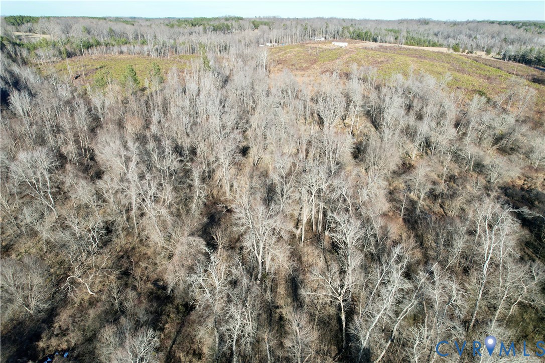 5209 Indian Oak Road Crewe, VA 23930 - Photo 2 of 14