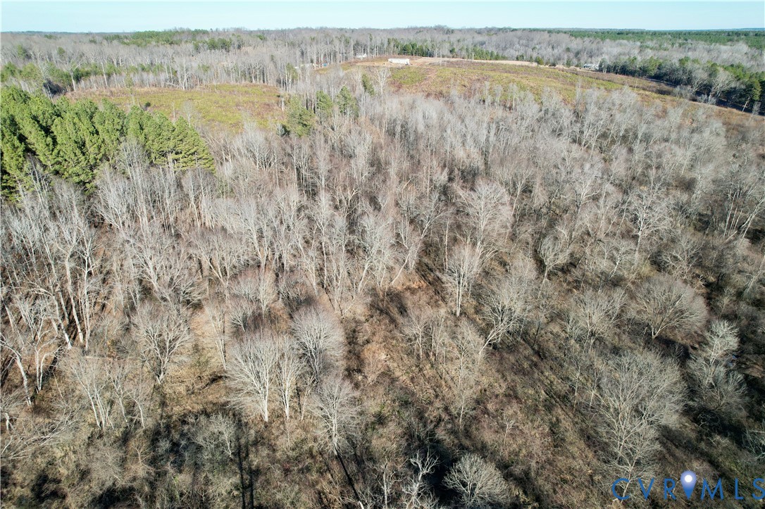 5209 Indian Oak Road Crewe, VA 23930 - Photo 4 of 14