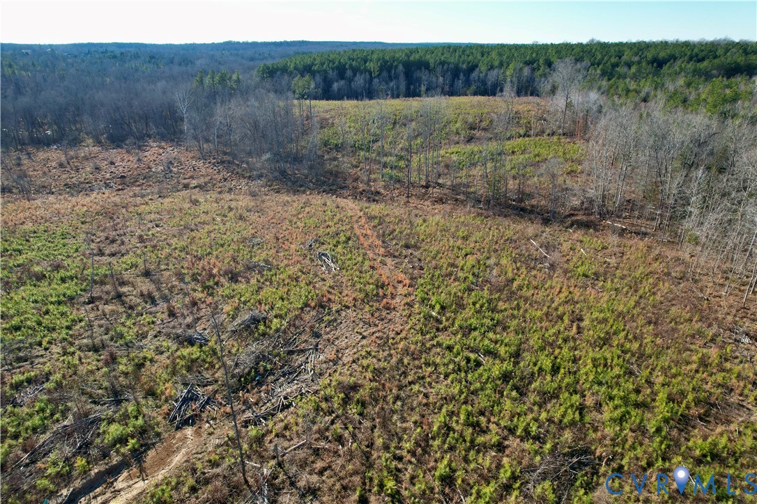 5209 Indian Oak Road Crewe, VA 23930 - Photo 7 of 14