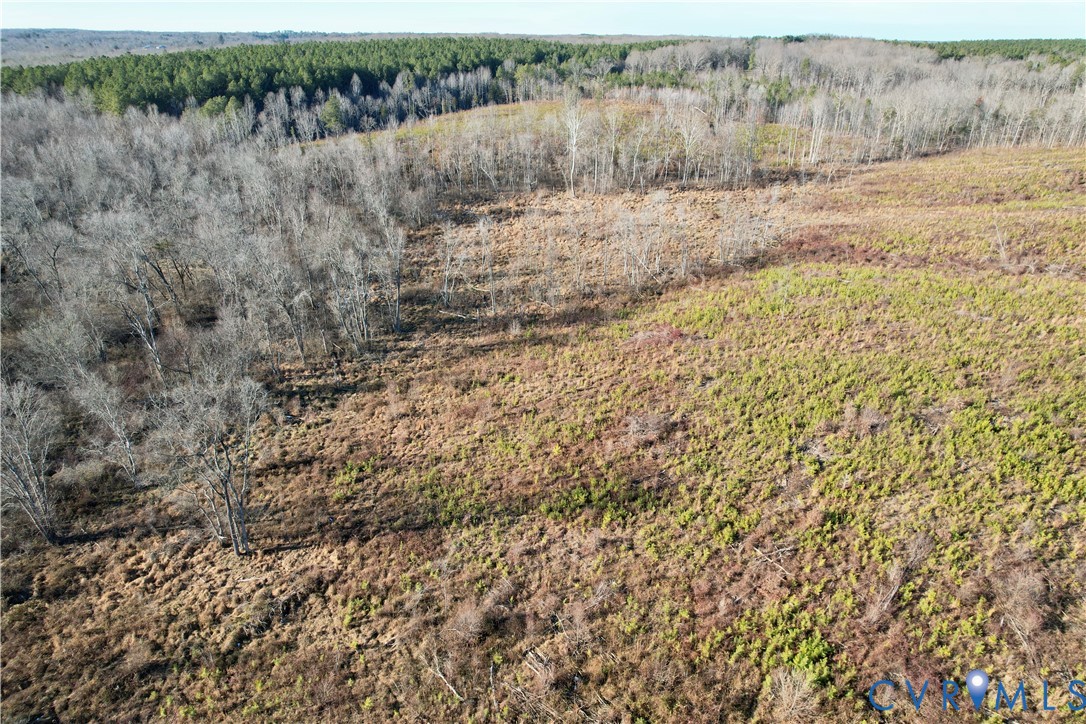 5209 Indian Oak Road Crewe, VA 23930 - Photo 8 of 14