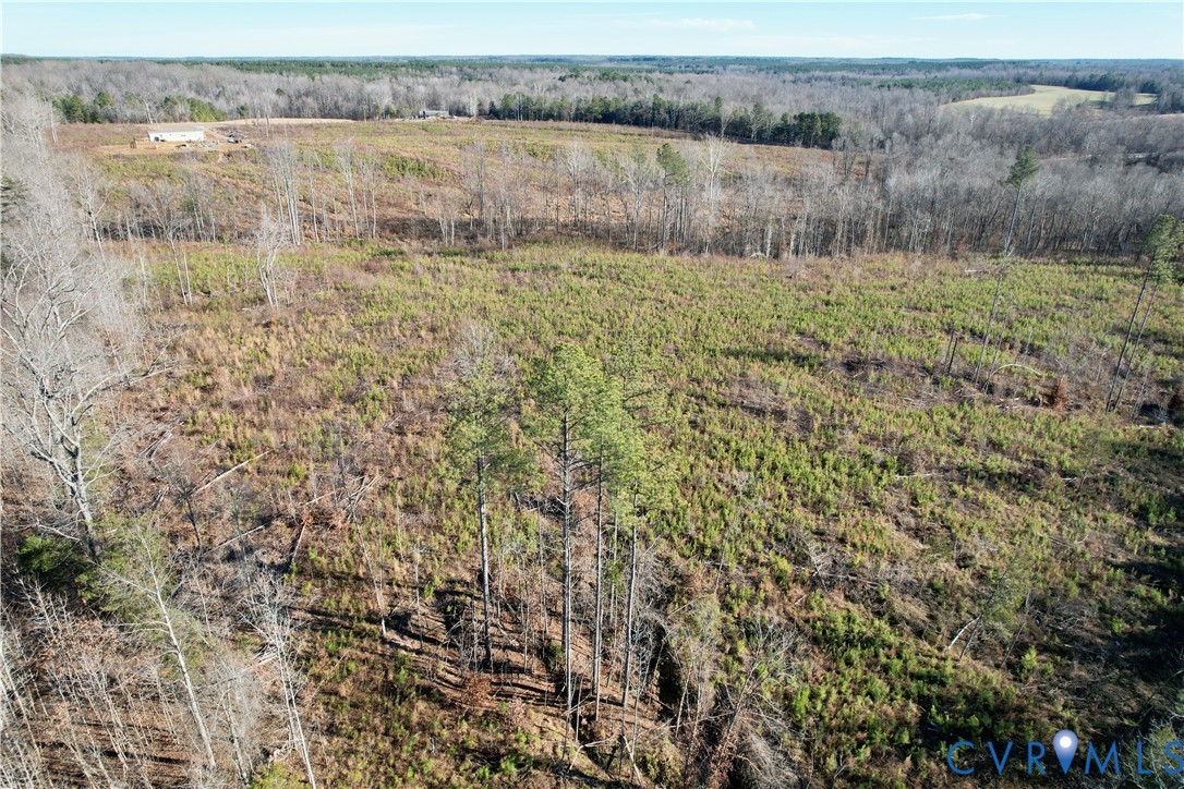 5209 Indian Oak Road Crewe, VA 23930 - Photo 10 of 14