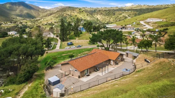 a view of a yard with plants and a large trees