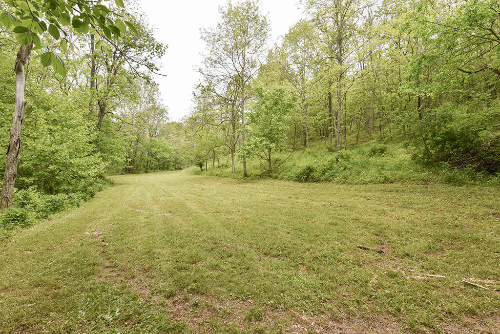 242 Belmont Road, Unit 1 Brooksville, KY 41004 - Photo 24 of 51 242Belmont_87