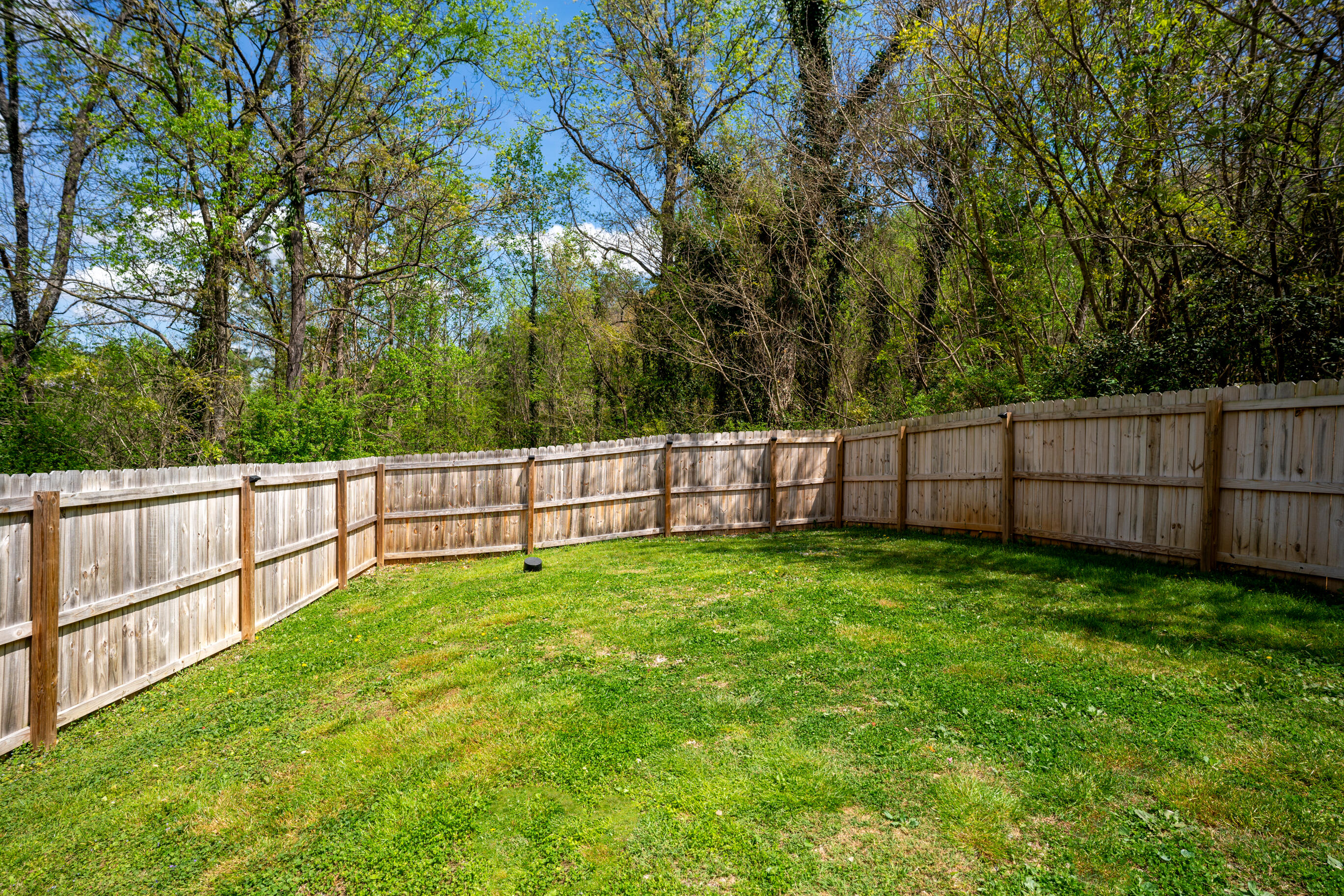 21 Dowlen Road Hixson, TN 37343 - Photo 39 of 50 _DSC9657-Edit