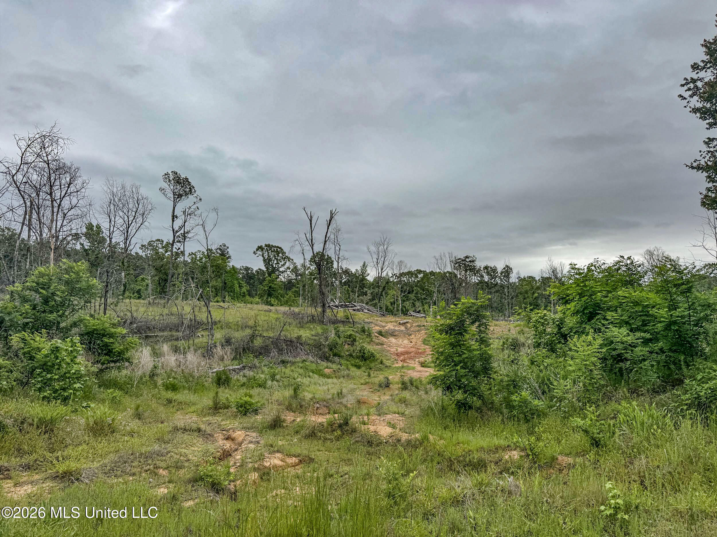 Wayne Massie Road Como, MS 38619 - Photo 143 of 184 5cdtbs87