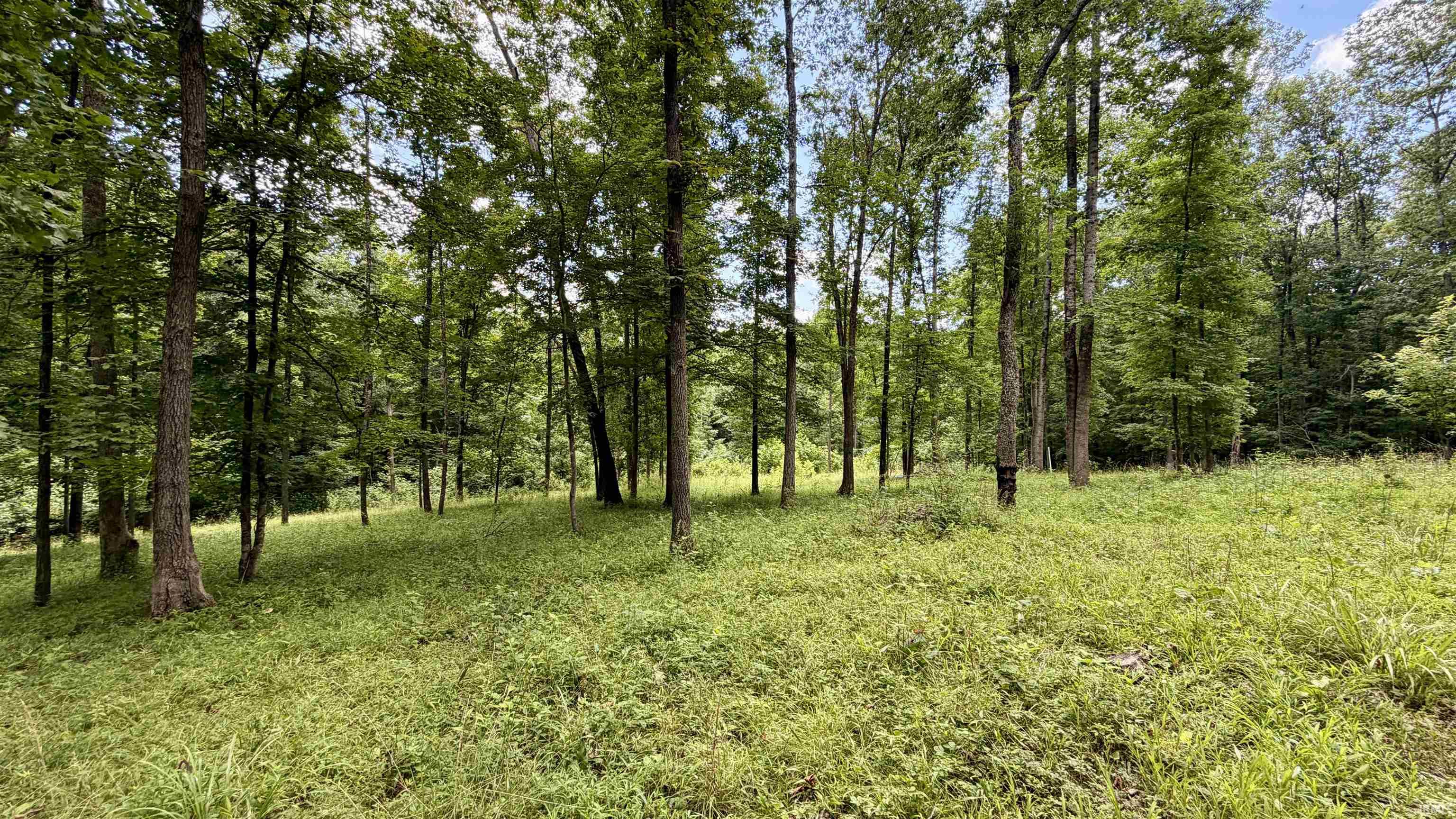 64 State Road English, IN 47118 - Photo 13 of 27