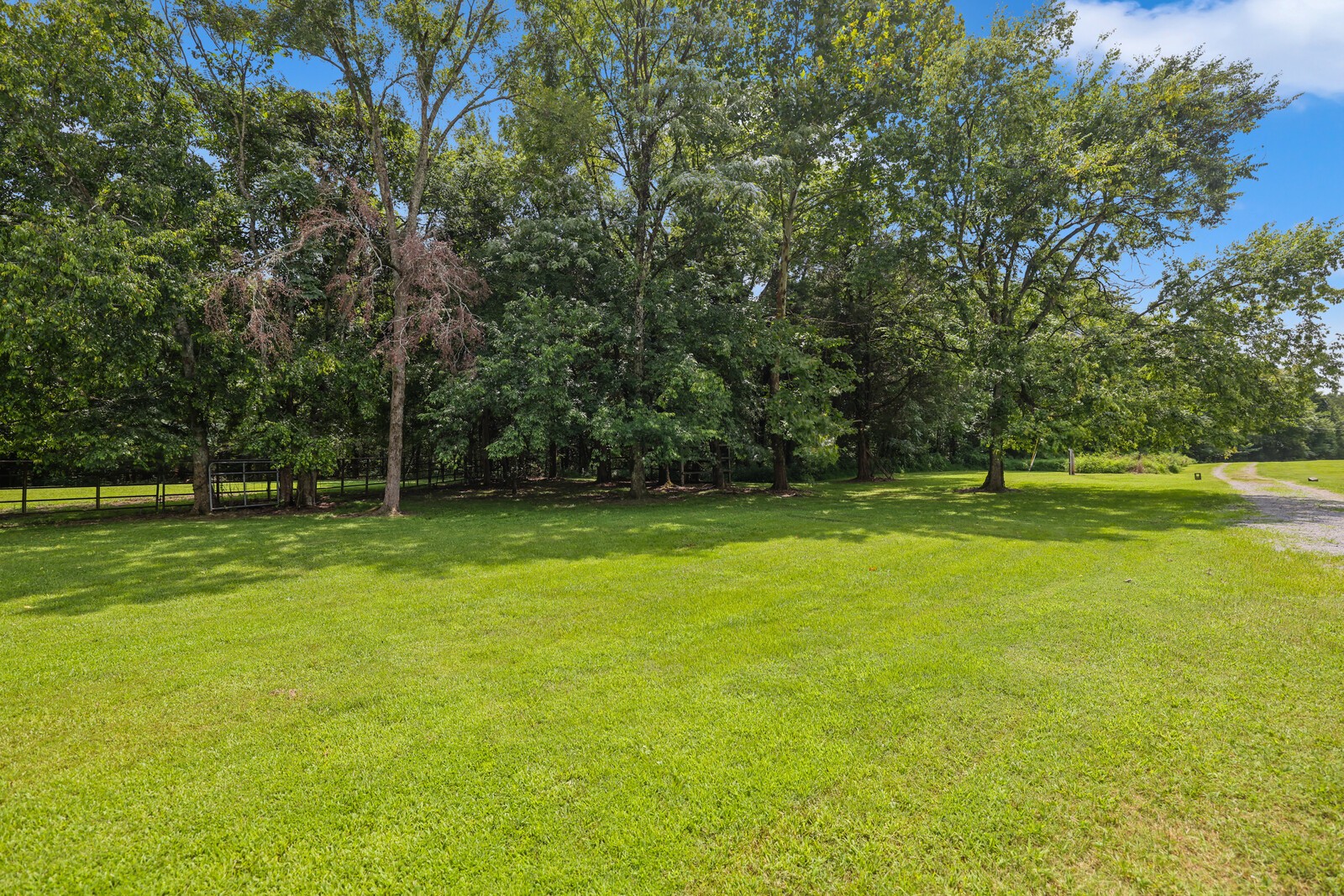 645 Jug Creek Road Watertown, TN 37184 - Photo 30 of 42 Gallery Image 30