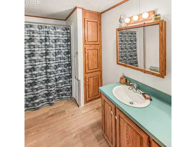 a bathroom with a sink a mirror and a shower