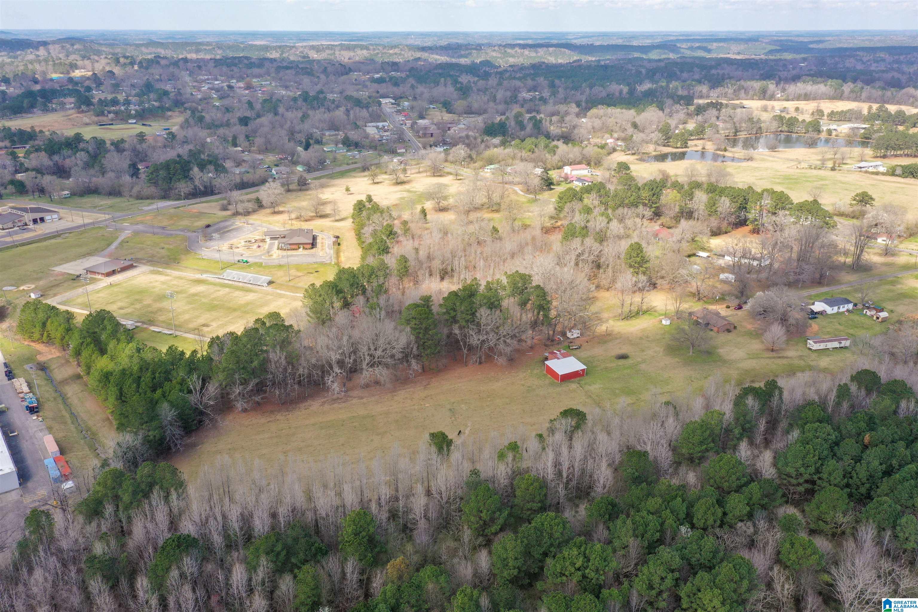 115 Thomas Road Sumiton, AL 35148 - Photo 42 of 46
