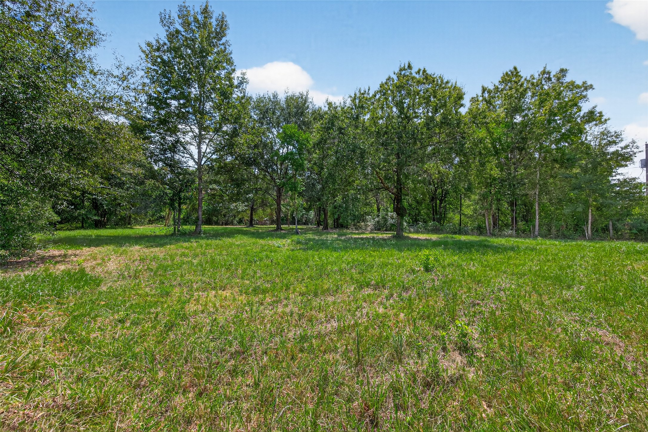 12297 Rebel Road Cleveland, TX 77327 - Photo 15 of 36 a view of outdoor space with deck and yard