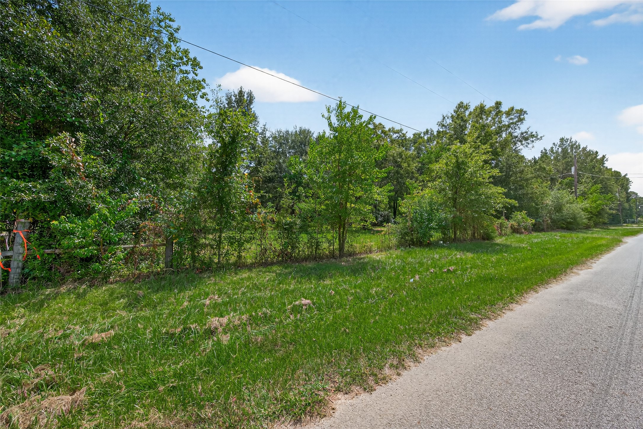 12297 Rebel Road Cleveland, TX 77327 - Photo 17 of 36 a big yard with lots of green space and trampoline