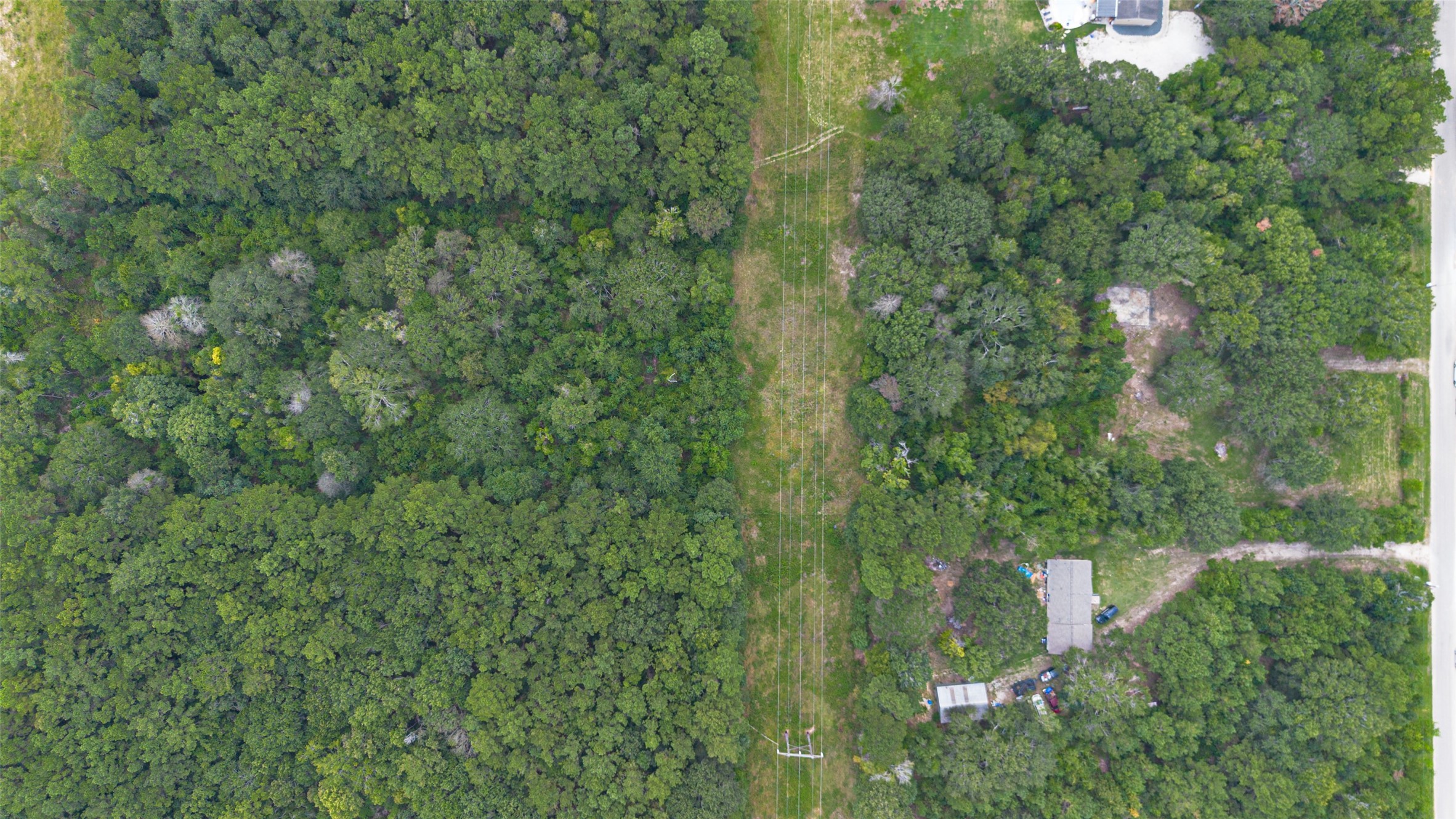12297 Rebel Road Cleveland, TX 77327 - Photo 18 of 36 a view of a forest with a street