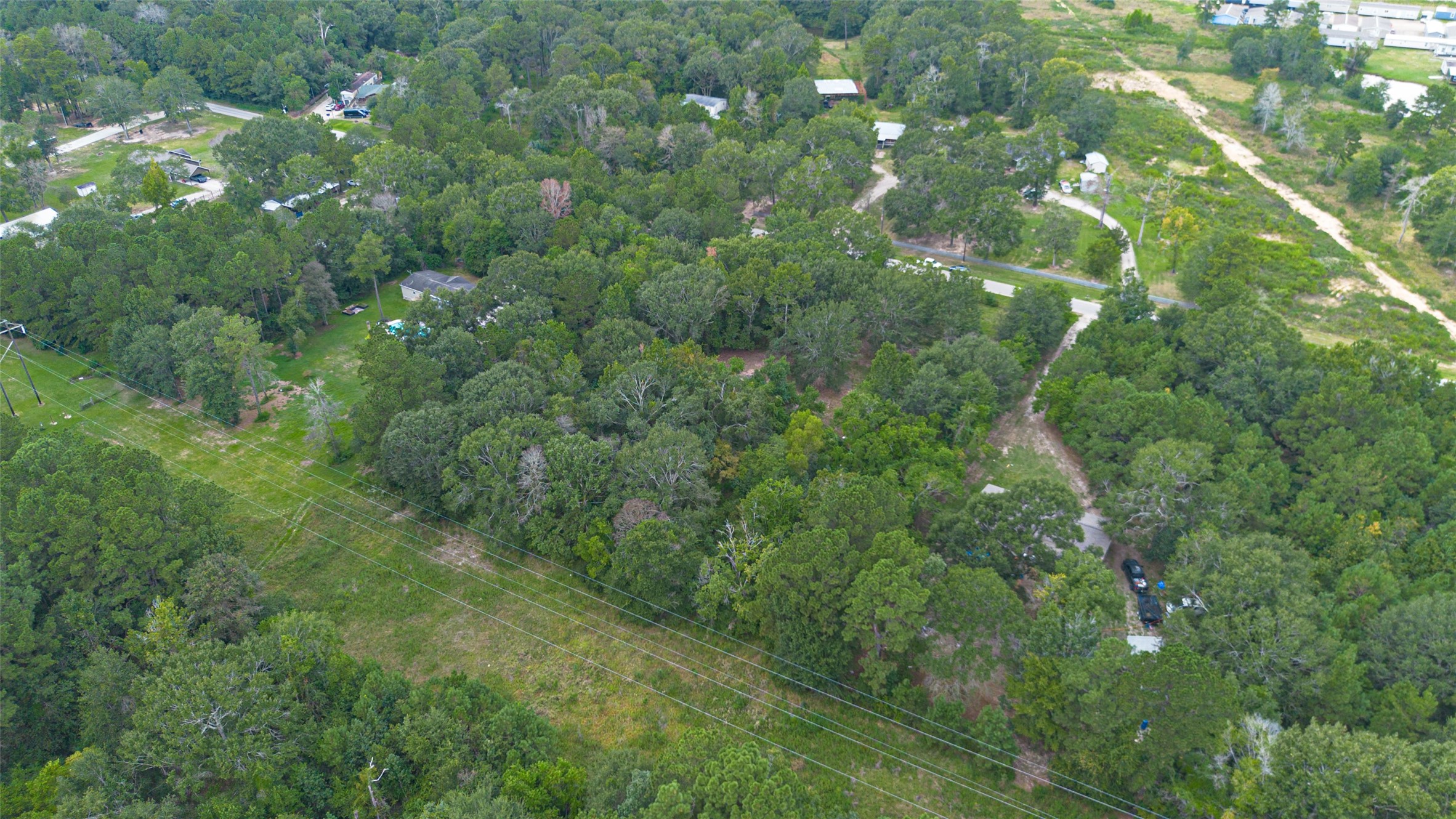 12297 Rebel Road Cleveland, TX 77327 - Photo 26 of 36 a view of a forest