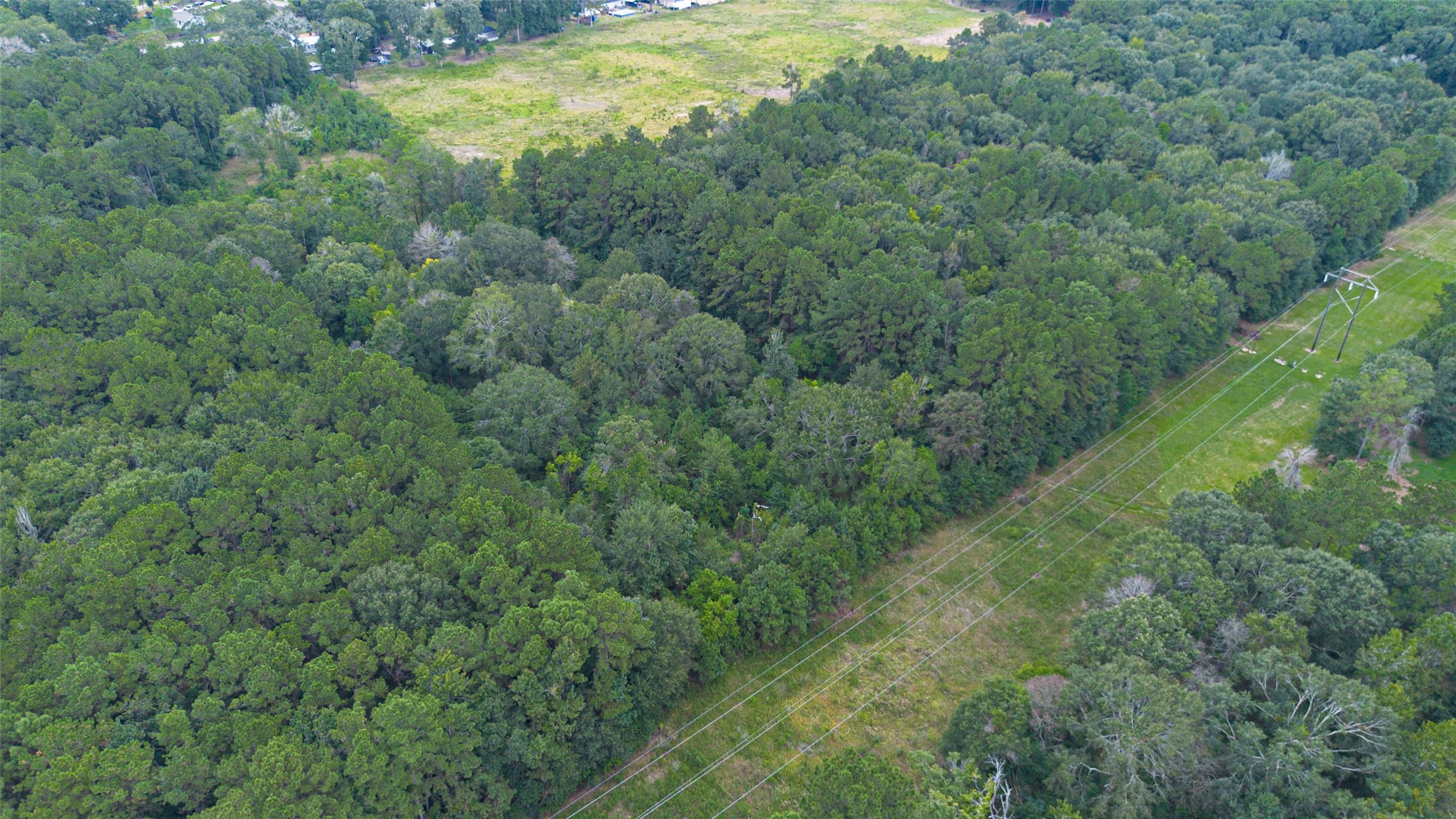 12297 Rebel Road Cleveland, TX 77327 - Photo 27 of 36 a view of a forest with a street