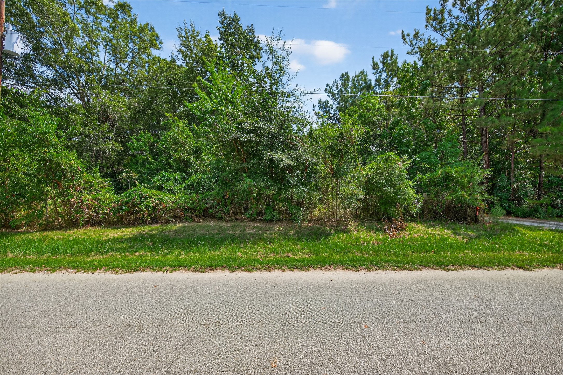 12297 Rebel Road Cleveland, TX 77327 - Photo 3 of 36 a view of backyard with green space