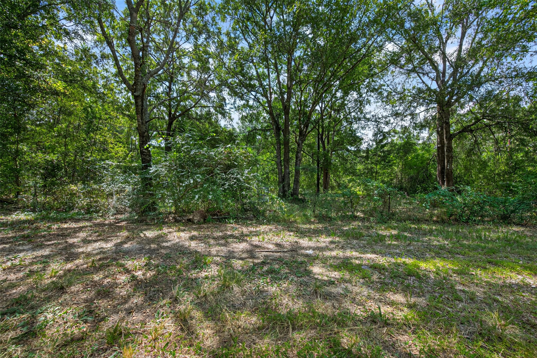 12297 Rebel Road Cleveland, TX 77327 - Photo 9 of 36 a view of outdoor space with trees