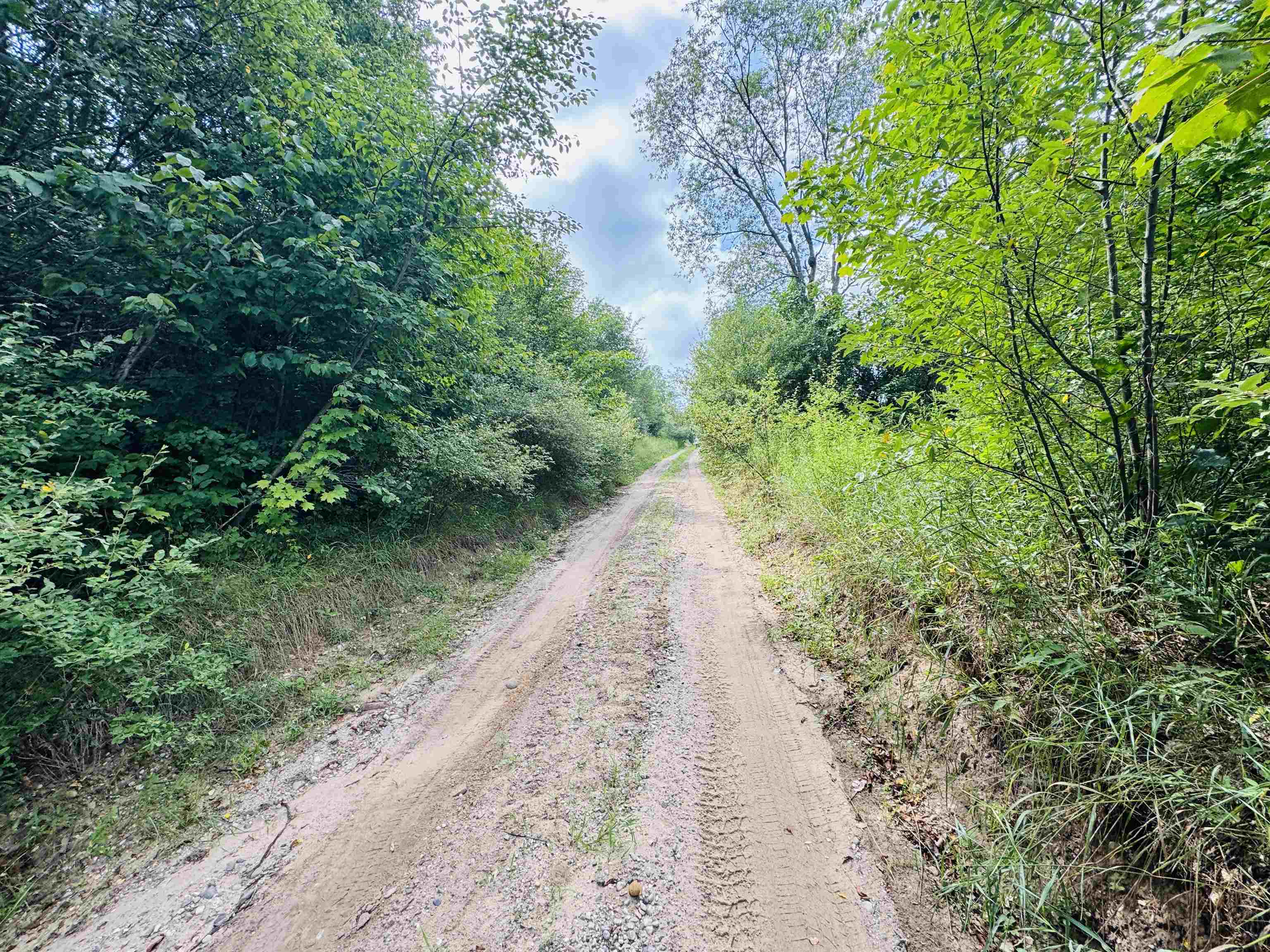Parcel B4-b5 North Bosscher Road Manton, MI 49663 - Photo 5 of 6 1948972-b7c6e632-2916-4d2f-9f51-99b7d436e02d.JPG