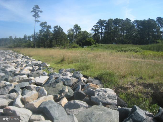 4926 Black Walnut Point Road Tilghman, MD 21671 - Photo 20 of 29 View