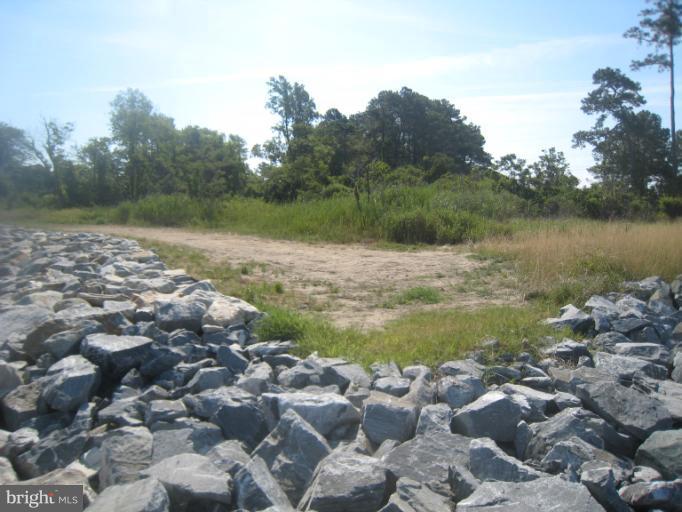 4926 Black Walnut Point Road Tilghman, MD 21671 - Photo 10 of 29 View