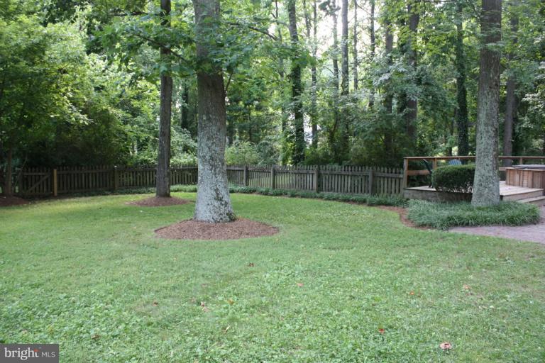 924 Melvin Road Annapolis, MD 21403 - Photo 15 of 18 Rear Yard