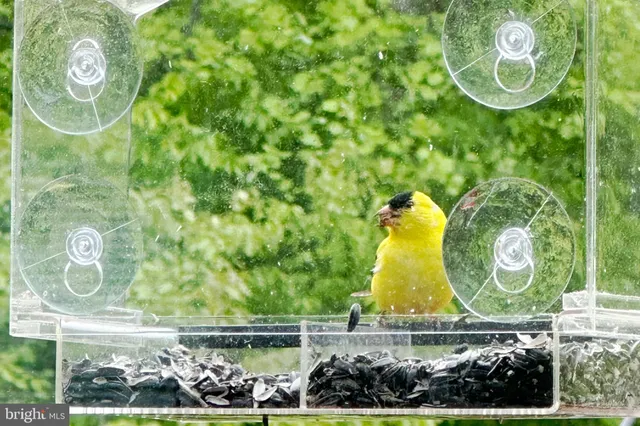 $670,000 | 770 Poplar Road, Stafford, VA 22556