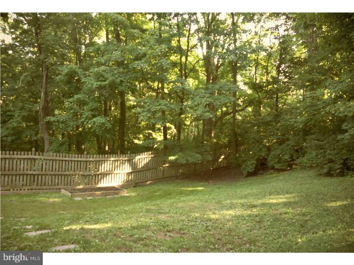 1191 Randy Drive Pottstown, PA 19464 - Photo 17 of 25 Back Yard