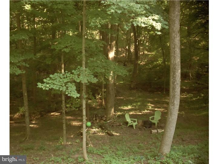 1191 Randy Drive Pottstown, PA 19464 - Photo 8 of 25 View in Back