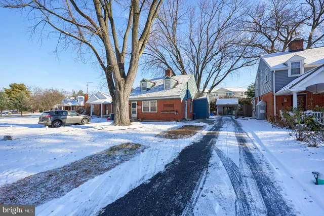 a view of a town with large trees