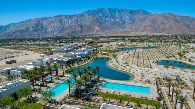 a view of a park with palm trees