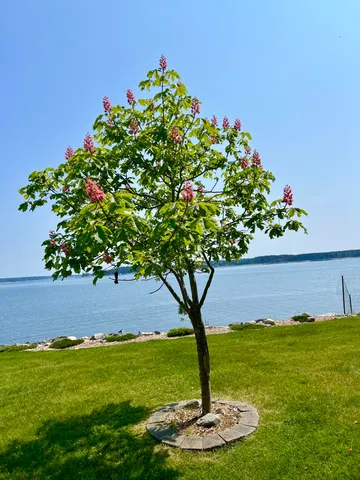 $2,195,000 | 463 Seawall Road, Southwest Harbor, ME 04679