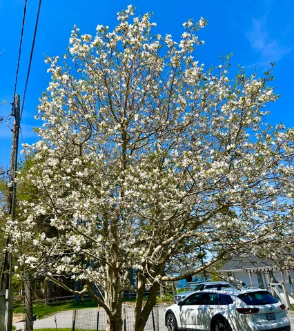 $2,195,000 | 463 Seawall Road, Southwest Harbor, ME 04679