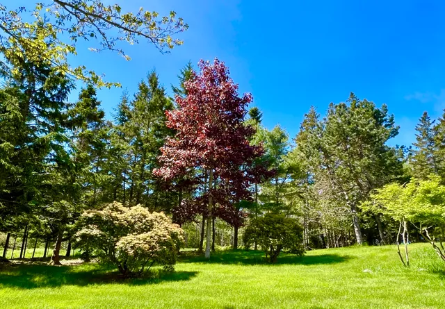 $2,195,000 | 463 Seawall Road, Southwest Harbor, ME 04679