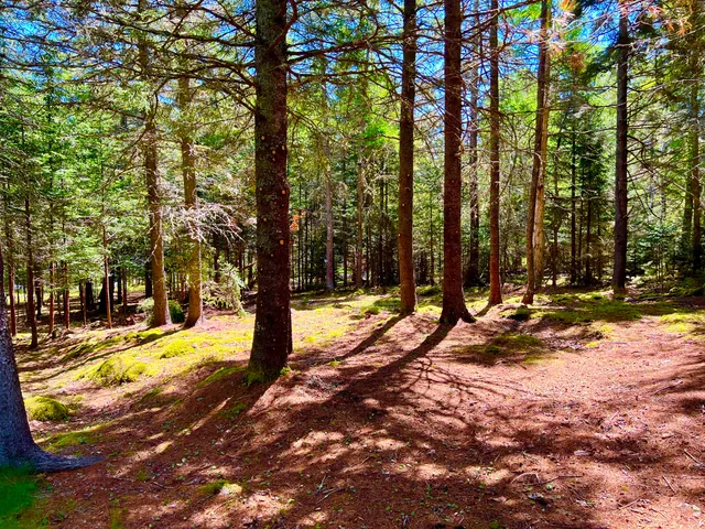 $2,195,000 | 463 Seawall Road, Southwest Harbor, ME 04679