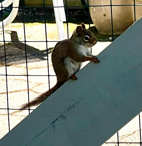 $2,195,000 | 463 Seawall Road, Southwest Harbor, ME 04679