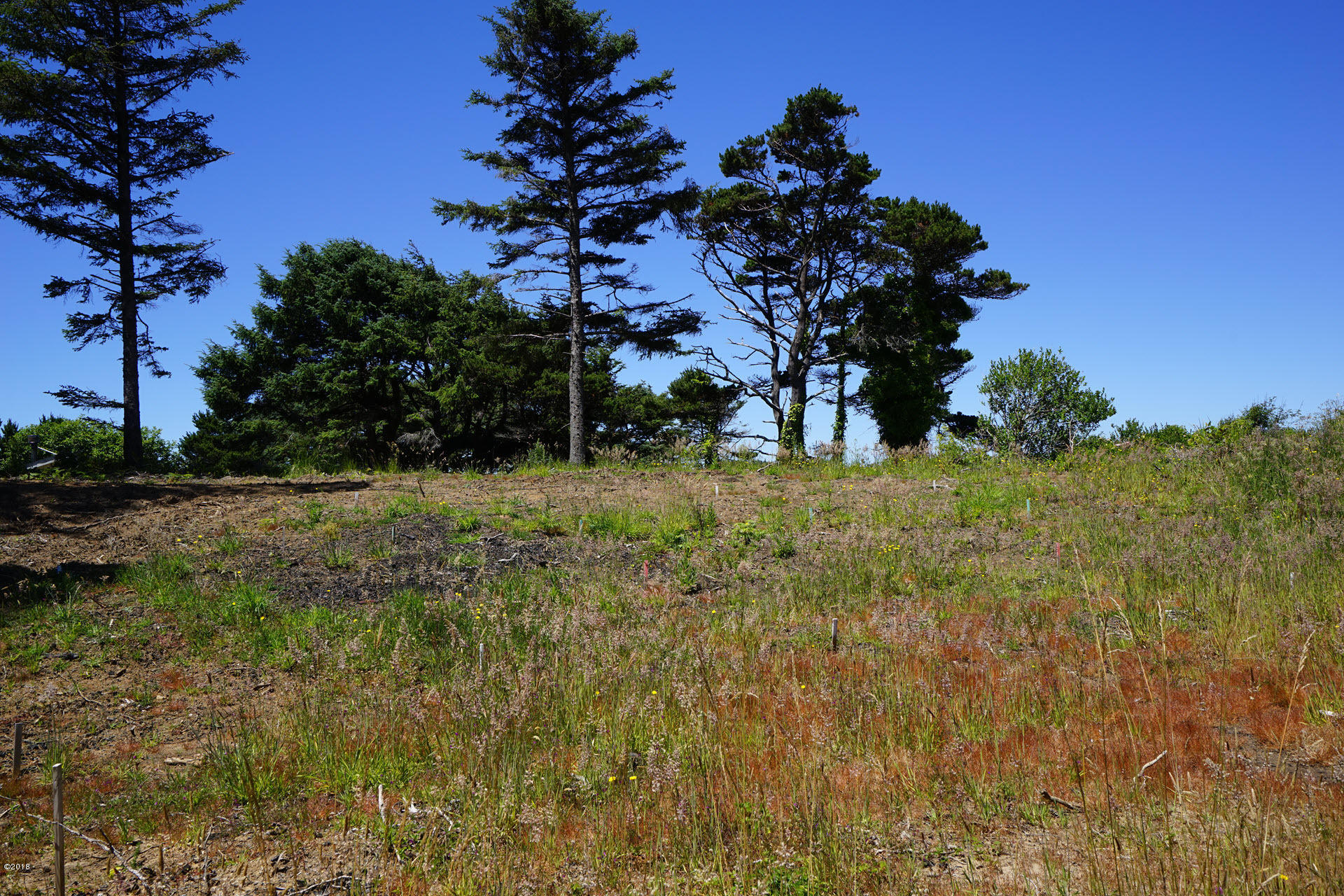 4000 Southwest Division Street Waldport, OR 97394 - Photo 1 of 10 ClearedLot