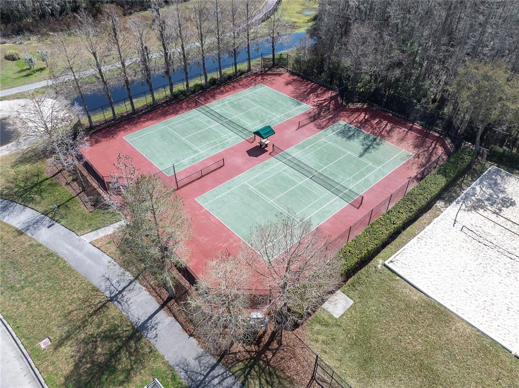 10121 Porch Street New Port Richey, FL 34655 - Photo 56 of 57 a view of a tennis ground with large trees
