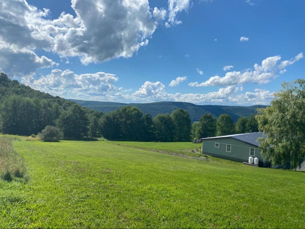 1003 County Highway Worcester, NY 12197 - Photo 12 of 41