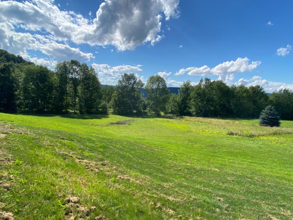 1003 County Highway Worcester, NY 12197 - Photo 40 of 41