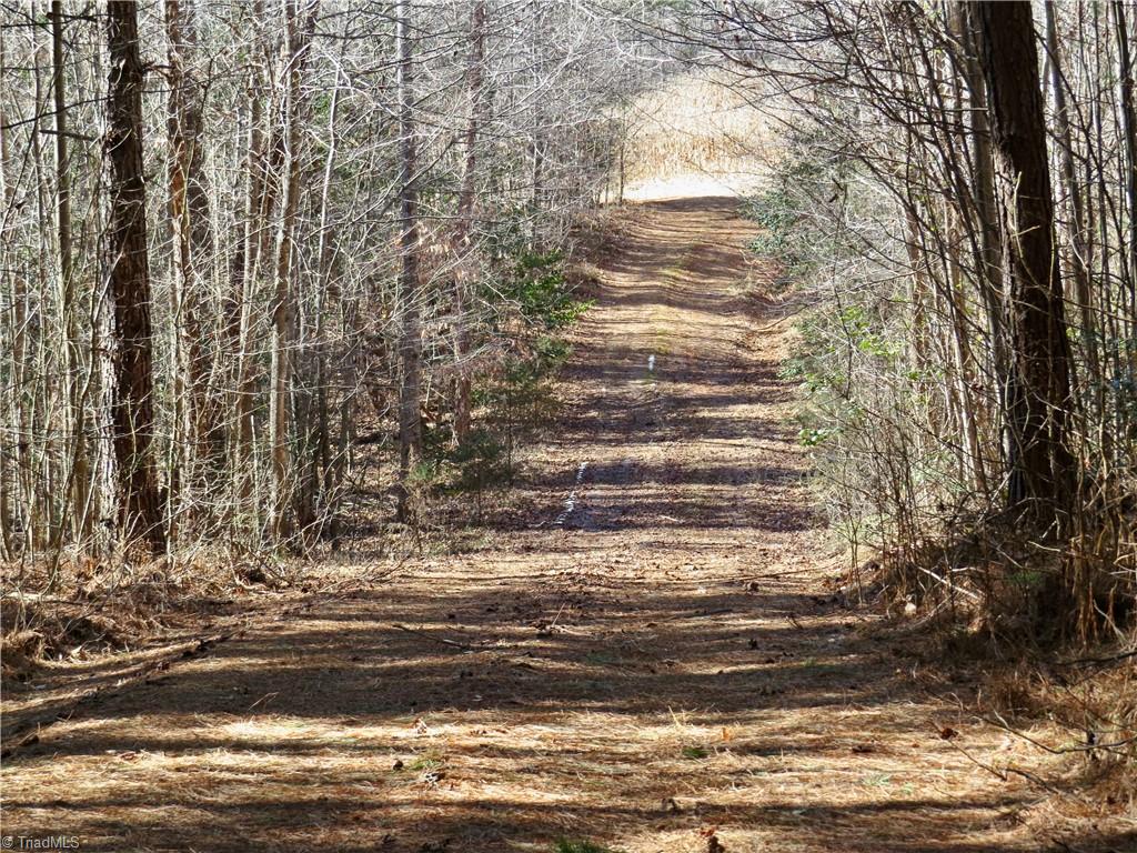 333 Haw Road Browns Summit, NC 27214 - Photo 25 of 44 farm road from field 4 to field 3