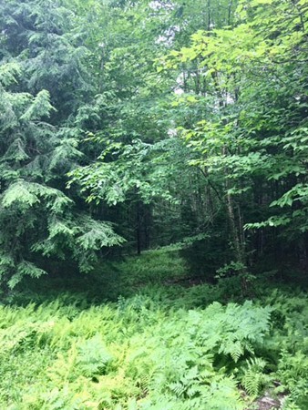 0 Plainfield Road Ashfield, MA 01330 - Photo 7 of 10