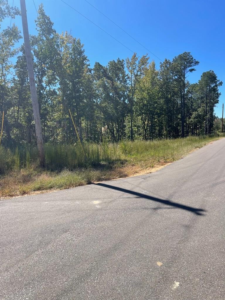 0 Bch Blf Lane Huntingdon, TN 38344 - Photo 3 of 7