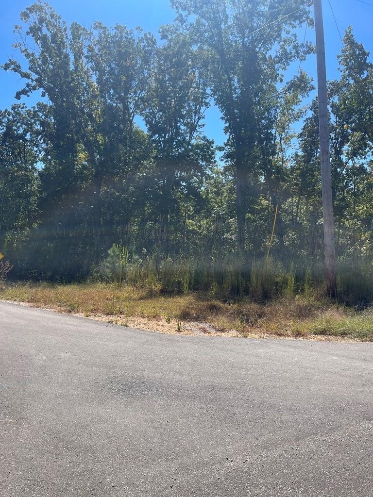 0 Bch Blf Lane Huntingdon, TN 38344 - Photo 4 of 7