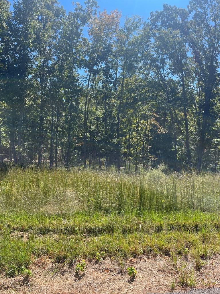 0 Bch Blf Lane Huntingdon, TN 38344 - Photo 7 of 7